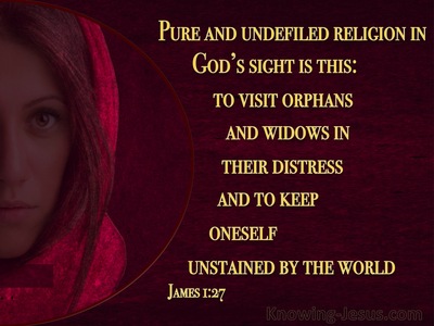 James 1:27 Pure And Undefiled Religion (red)